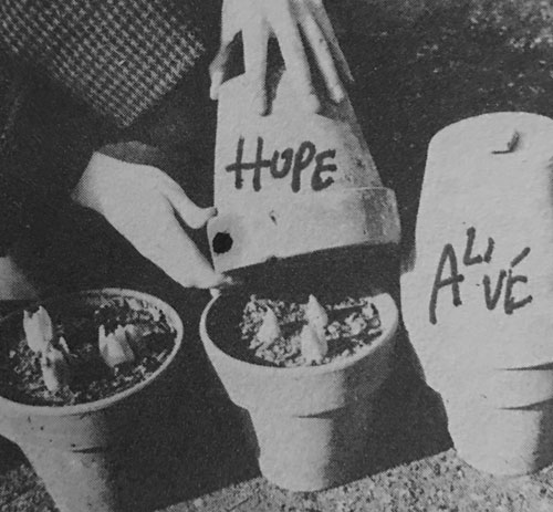 Zach Surp Hope Alive Desire Extensions Art Planting Gardening Metaphor