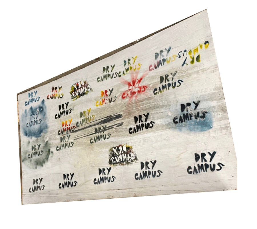 Dry Campus 4x8 sheet Plywood