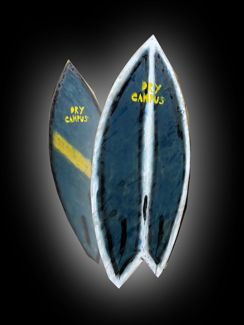 Dry Campus Surf Board!