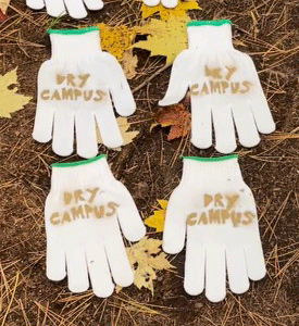 Dry Campus Outdoor Gloves