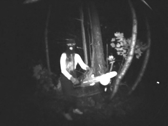 Natalie Verdi Chainsaw All You've Got Zach Surp Music Gif