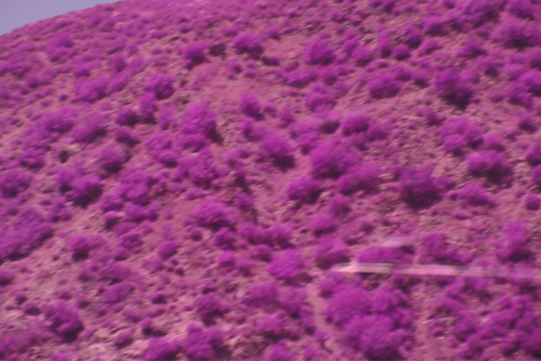 La Ronde by zach surp