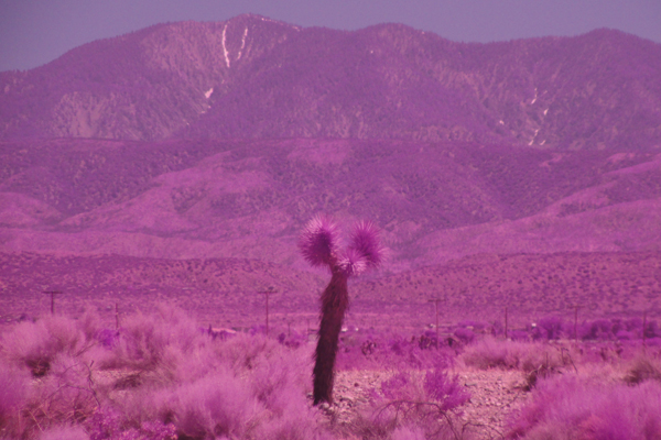 Eyes Wide Shut Inspired Thermal by zach surp in paris kaleidoscope