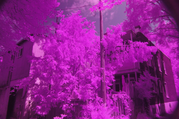 Dune Gradient Thermal by Zach Surp