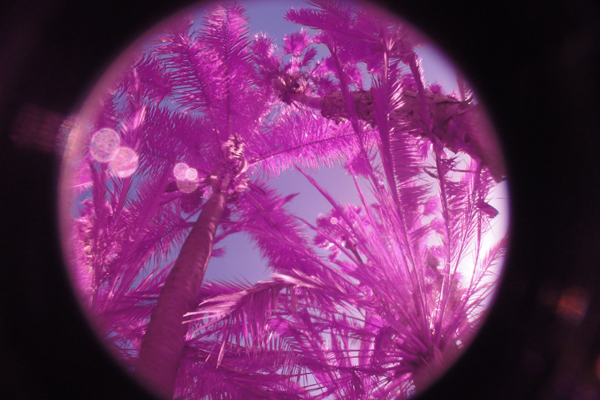 Dune Gradient Thermal by Zach Surp