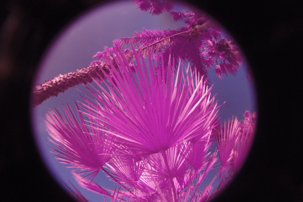 Dune Gradient Thermal by Zach Surp