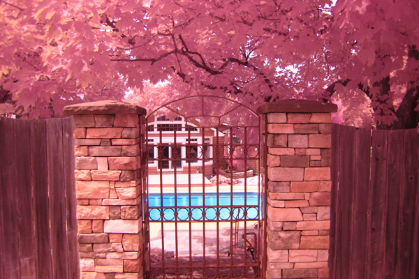 Poolside by zach surp