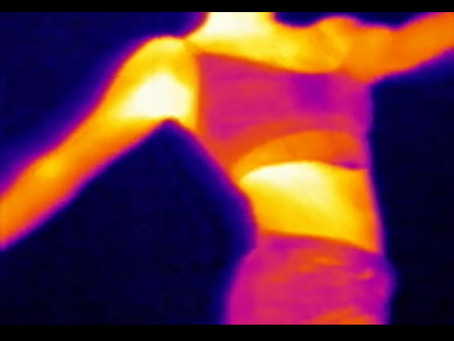 thermal mirror spin1