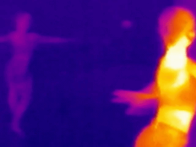 thermal mirror spin1