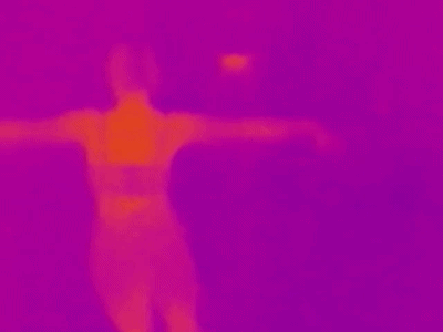 thermal mirror spin1