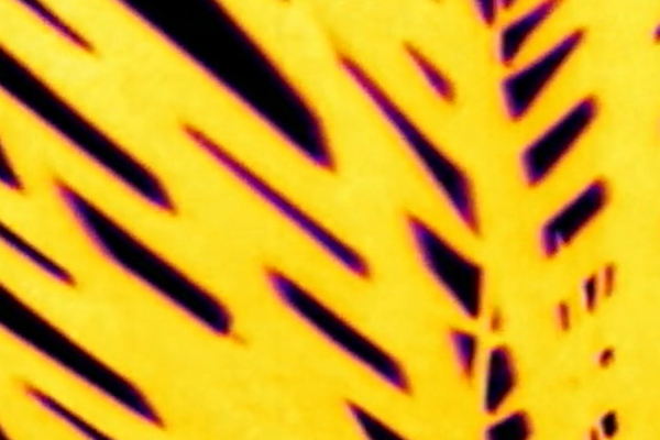 Dune Gradient Thermal by Zach Surp