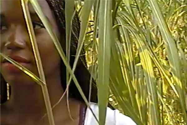 Attention video at buttes chaumont with Spideezy by zach surp